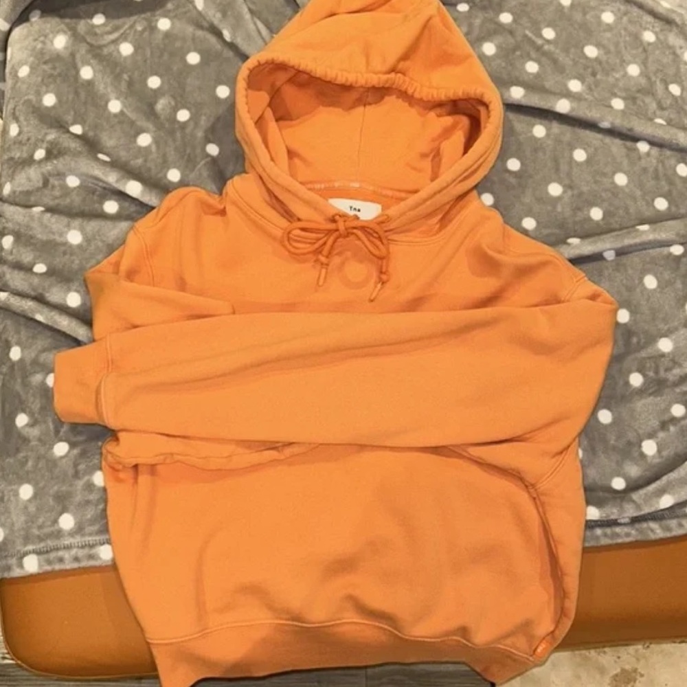 Aritzia sweatshirt